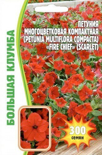 Петуния Fire Chief Scarlet многоцветковая Большая клумба однолетник 300шт (Ред.сем)
