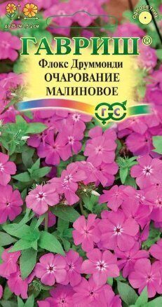Флокс Друм Очарование малиновое однолетник 0,05г (Гавриш)