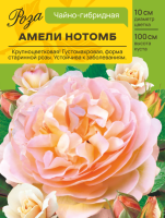 Роза Амели Нотомб (Чайно-гибридная) С ЦВ.НАКЛЕЙКОЙ 1шт (Сиб сад)