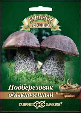 Подберезовик обыкновенный 15мл (Гавриш)