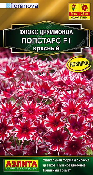 Флокс Друм ПОПСТАР F1 красный 5шт (Аэлита)
