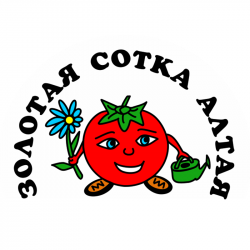 Золотая Сотка