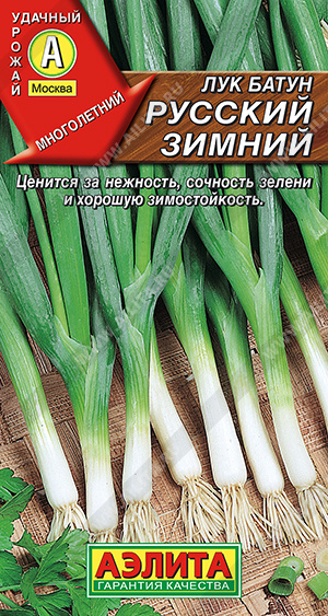 Лук Батун Русский зимний 0,5г (Аэлита)