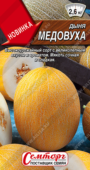 Дыня Медовуха 1г (Аэлита)