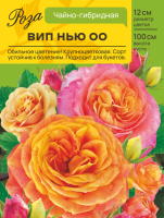 Роза Вип Нью ОО (Чайно-гибридная) С ЦВ.НАКЛЕЙКОЙ 1шт (Сиб сад)