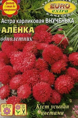 Астра Внученька Аленка карликовая однолетник 0,1г (Аэлита Экстра)