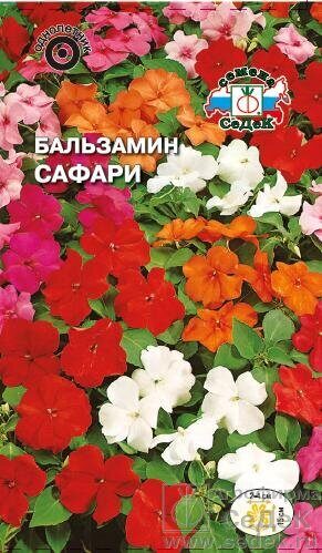 Бальзамин Сафари гибридный Валлера однолнтник 0,05г (Седек)