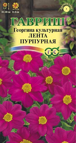 Георгина Лента пурпурная однолетник 0,2г (Гавриш)