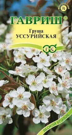 Груша Уссурийская 0,3г (Гавриш)