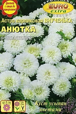 Астра Внученька Анютка карликовая однолетник 0,1г (Аэлита Экстра)