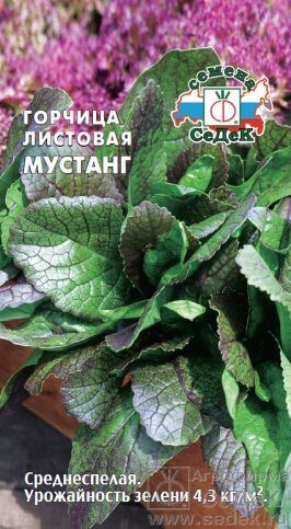 Горчица Мустанг листовая 1г (Седек)