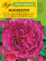 Роза Жанелли (Чайно-гибридная) С ЦВ.НАКЛЕЙКОЙ 1шт (Сиб сад)