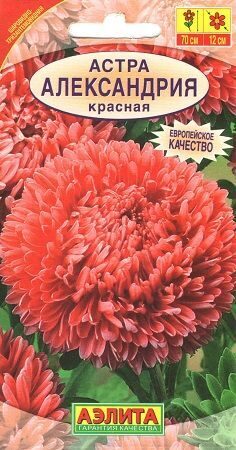 Астра Александрия Красная 0,1г (Аэлита)