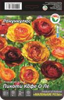 Ранункулюс Пикоти Кафе о Ле 6/7 15шт (Сиб сад)