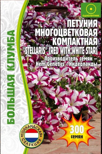 Петуния Stellaris многоцветковая Большая клумба однолетник 300шт (Ред.сем)