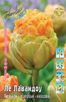 Тюльпан Ле Лавандоу 11/12 2шт (Колорлайн)