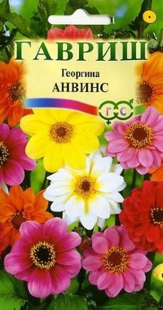 Георгина Анвинс однолетник 0,3г (Гавриш)