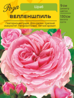 Роза Велленшпиль (Шраб) С ЦВ.НАКЛЕЙКОЙ 1шт (Сиб сад)