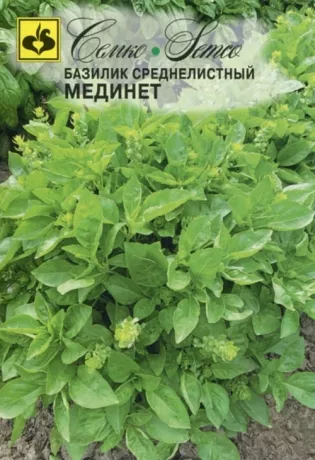 Базилик Мединет 1г (Семко)