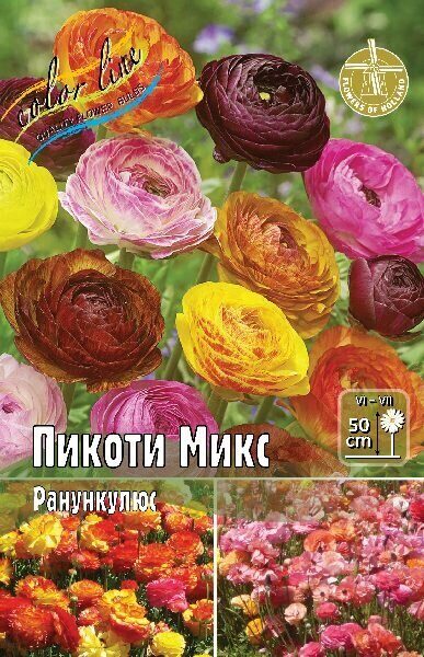 Ранункулюс Пикоти Микс 5/6 10шт (Колорлайн)