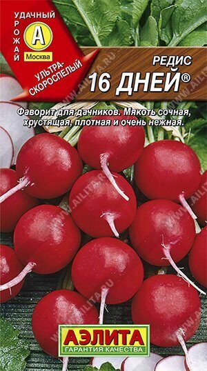 Редис 16 дней 2г (Аэлита)