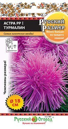 Астра РУССКИЙ РАЗМЕР I Турмалин однолетник 0,3г (НК)