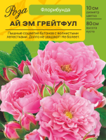 Роза Ай эм Грейтфул (Флорибунда) С ЦВ.НАКЛЕЙКОЙ 1шт (Сиб сад)