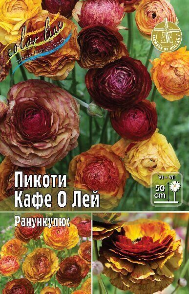 Ранункулюс Пикоти Кафе о Лей 5/6 10шт (Колорлайн)