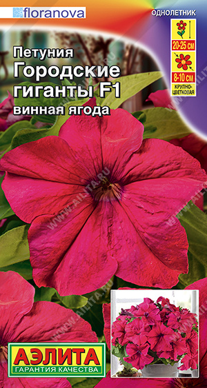Петуния Городские гиганты F1 Винная ягода крупноцветковая 7шт (Аэлита)