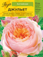 Роза Джульет (Английская) С ЦВ.НАКЛЕЙКОЙ 1шт (Сиб сад)