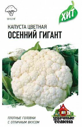 Капуста цветная Осенний гигант ХИТ 0,1г (Гавриш)