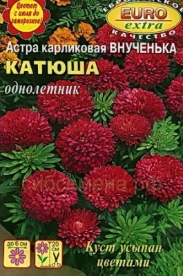 Астра Внученька Катюша карликовая однолетник 0,1г (АэлитаЭкстра)