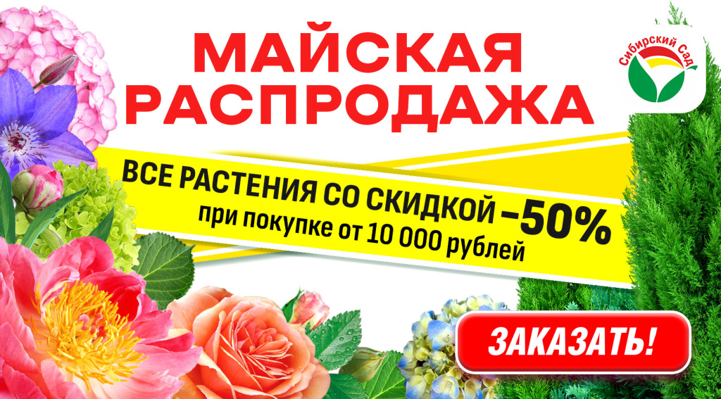 распродажа_50.jpg распродажа_50.jpg