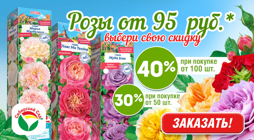 Розы-акция.jpg