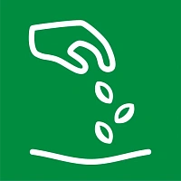 Семена Семена