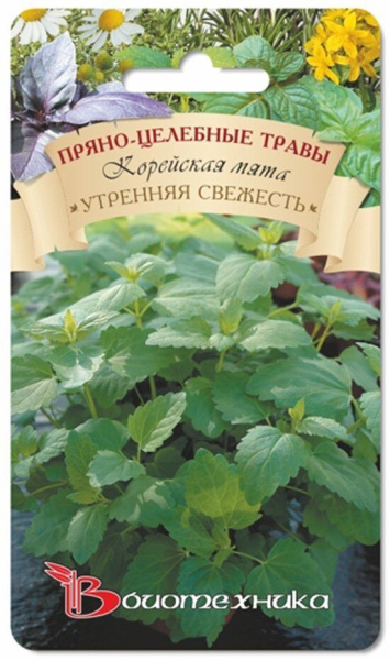 Мята Утренняя свежесть корейская 0,1г (Биотехника)
