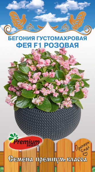 Бегония Фея розовая F1 густомахровая однолетник 5шт (премиум)
