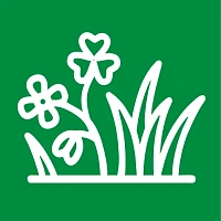 Сидераты Сидераты