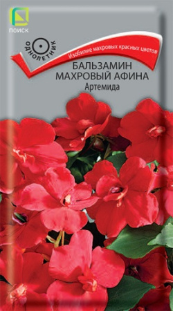 Бальзамин АФИНА Артемида махровый однолетник 5шт (Поиск)