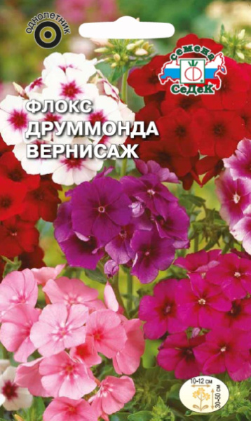 Флокс Друм Вернисаж смесь 0,1г (Седек)