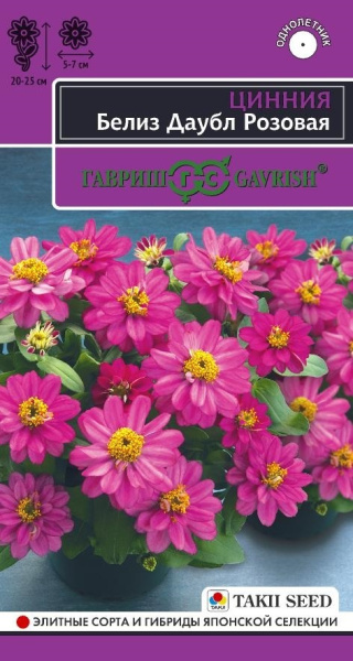 Цинния Белиз даубл розовая эксклюзив 5шт (Гавриш)