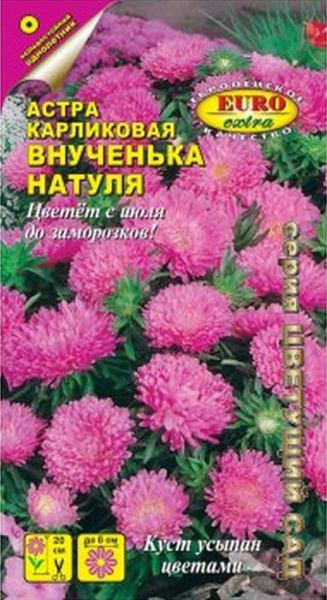 Астра Внученька Натуля карликовая 0,1г (Аэлита Экстра)