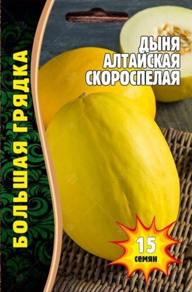 Дыня Алтайская скороспелая Большая грядка 15шт (Ред.Сем)