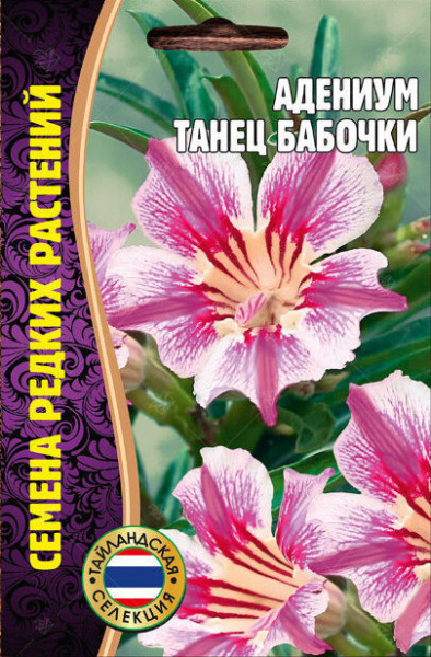 Адениум Танец бабочки 3шт (Ред.Сем)
