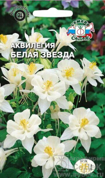 Аквилегия Белая Звезда многолетник 0,1г (Седек)