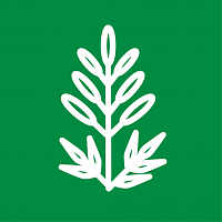 Астильбы