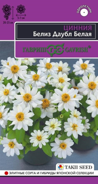 Цинния Белиз даубл белая эксклюзив 5шт (Гавриш)