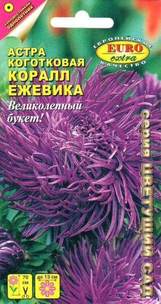 Астра Коралл Ежевика однолетник 0,1г (АэлитаЭкстра)