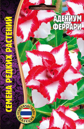 Адениум Феррари 3шт (Ред.Сем)