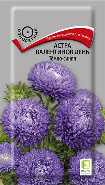 Астра Валентинов день Темно-синяя однолетник 0,2г (Поиск)
